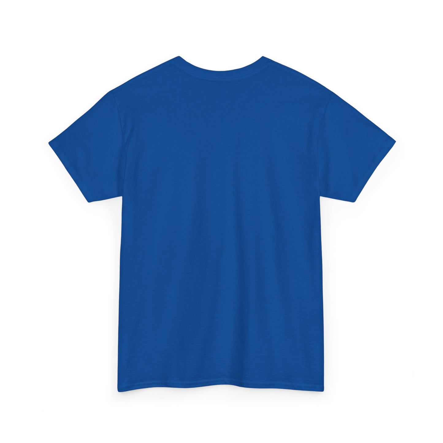 Patriotic Humor T-Shirt with USA Flag Design