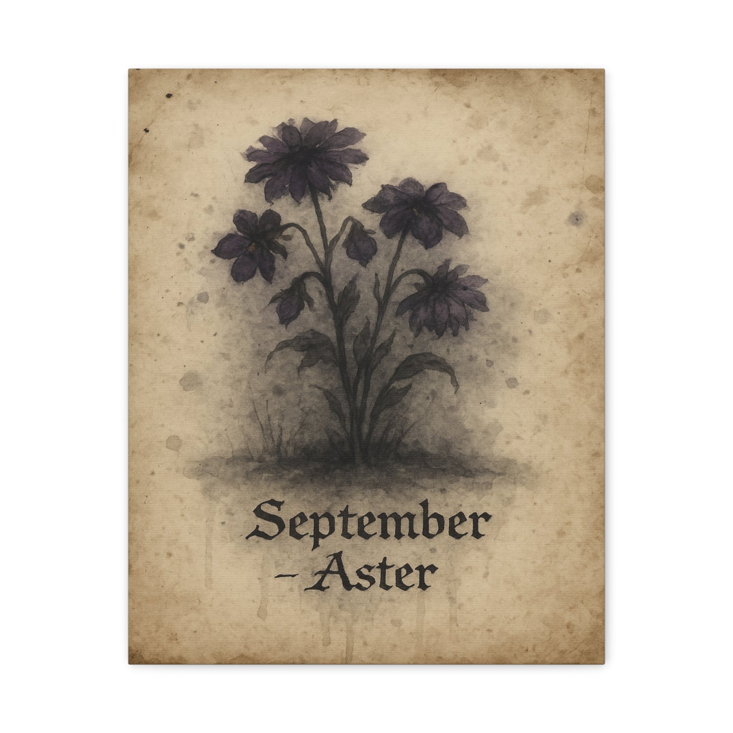 Haunted September Birth Flower, Birthday Gift, Stretched Matte Decor, 25 Inch