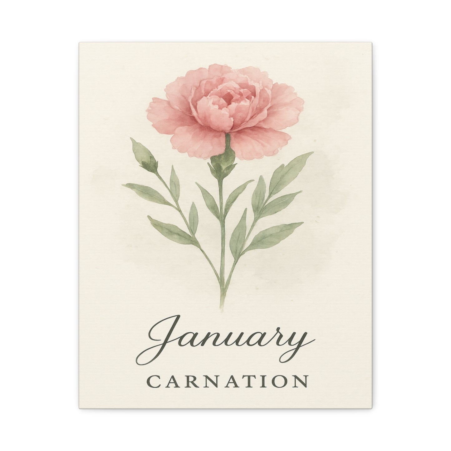 Canvas Wall Art, Pink Carnation Print, January Birth Flower, Birthday Gift, Stretched Matte Decor, 25 Inch