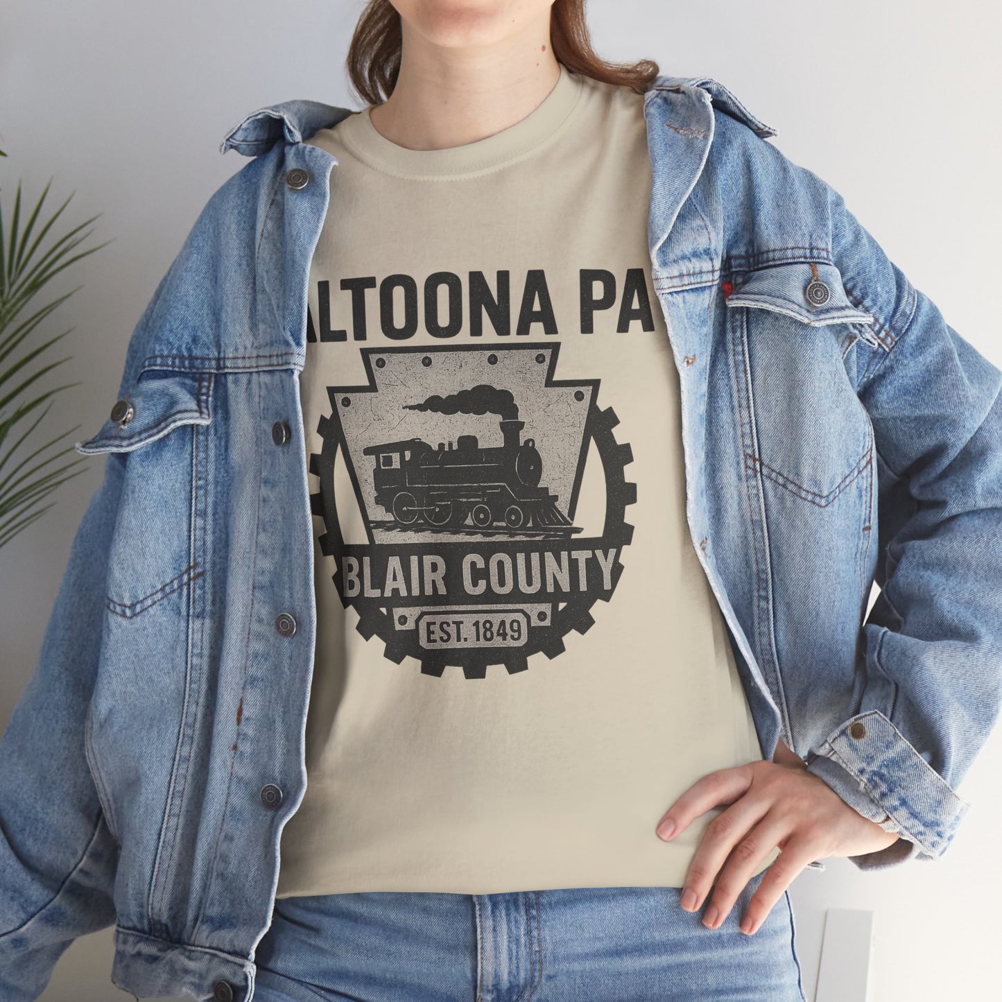 Altoona PA T-Shirt Blair County Vintage Train