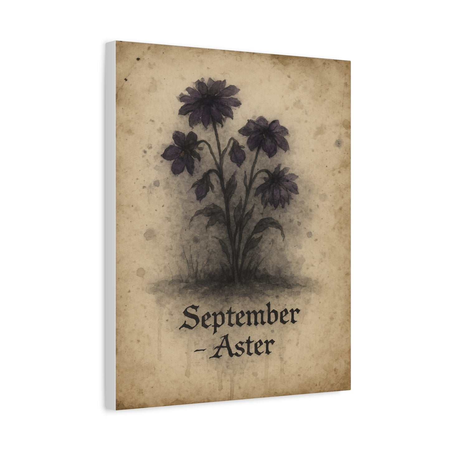 Haunted September Birth Flower, Birthday Gift, Stretched Matte Decor, 25 Inch