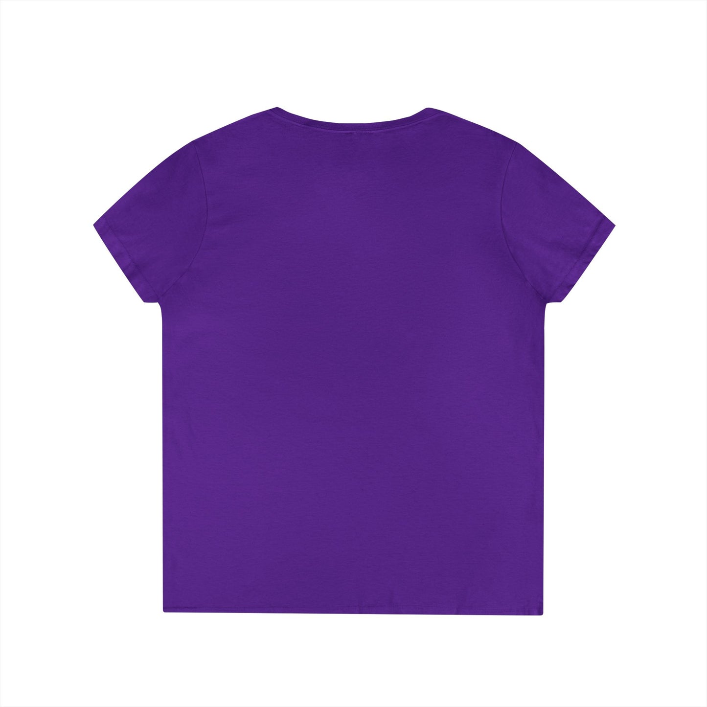 Altoona PA Mountain T-Shirt V-Neck Tee