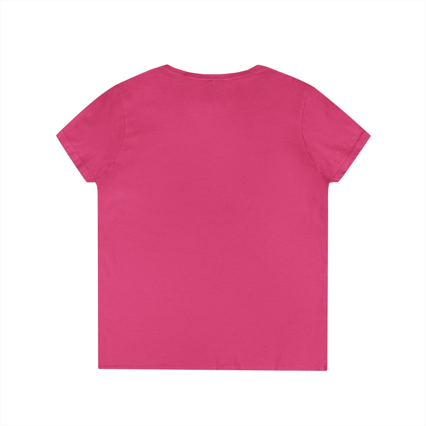 Altoona PA Vintage T-Shirt V-Neck Tee
