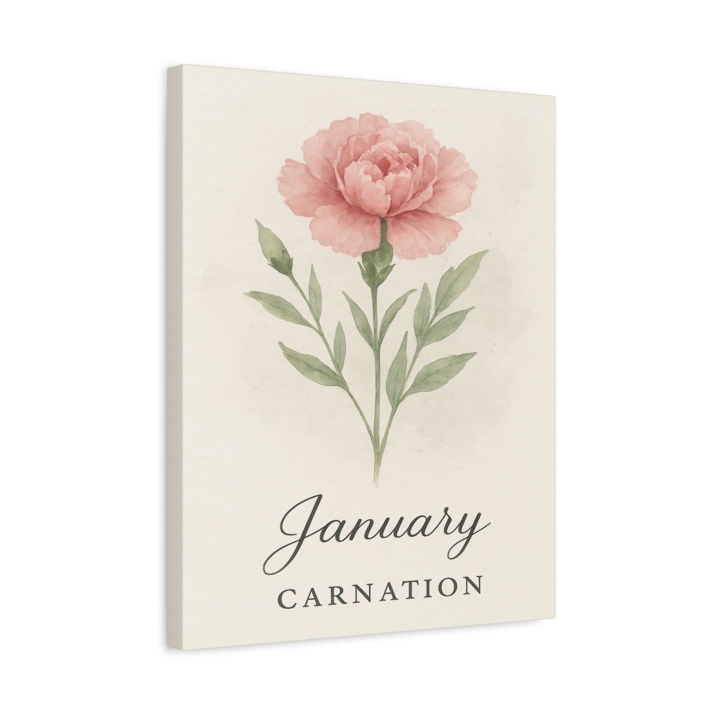 Canvas Wall Art, Pink Carnation Print, January Birth Flower, Birthday Gift, Stretched Matte Decor, 25 Inch