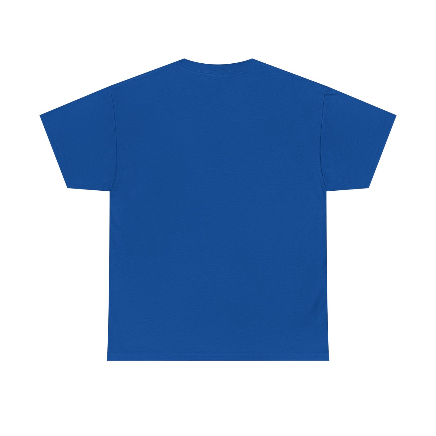 Patriotic Humor T-Shirt with USA Flag Design