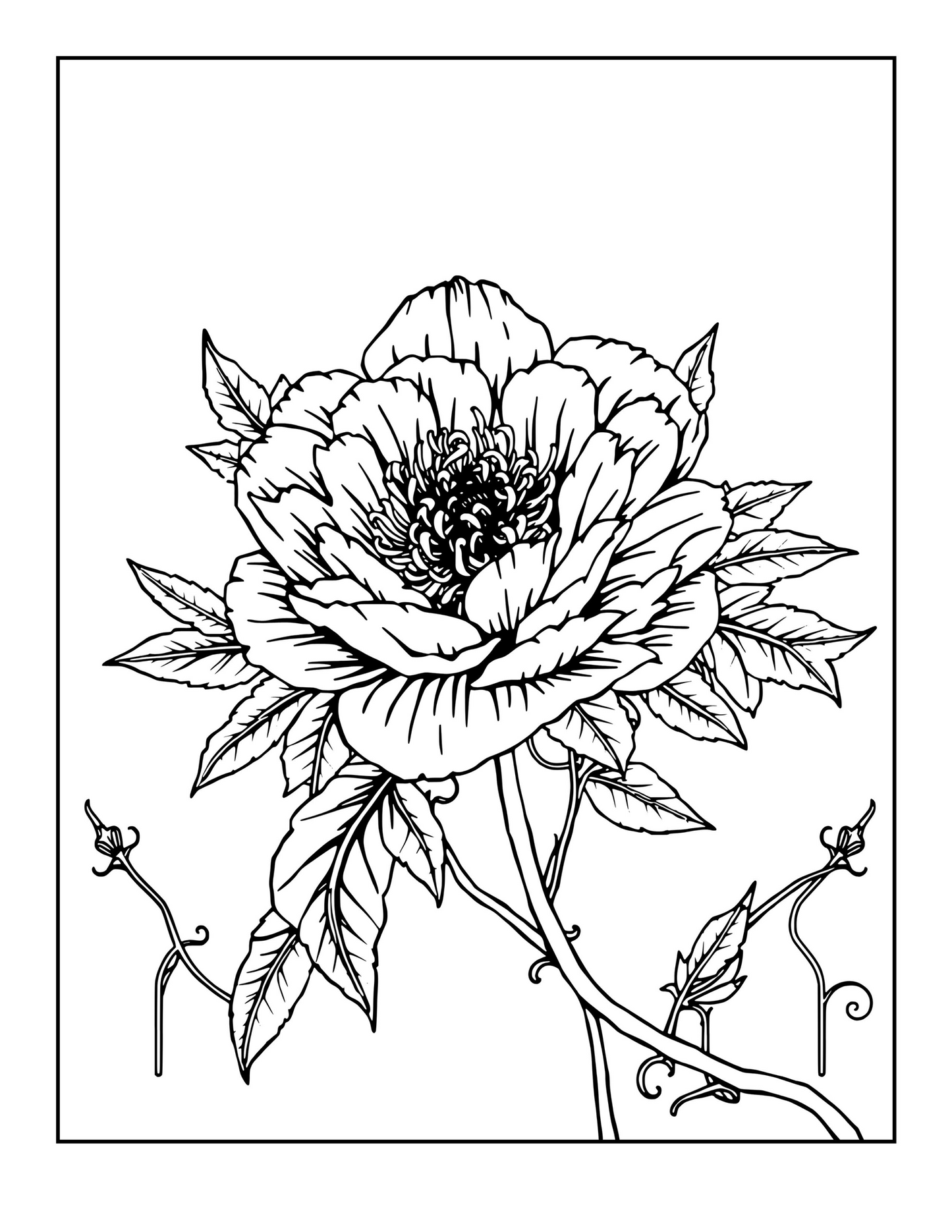 Goth Garden: A Dark Botanical Coloring Book