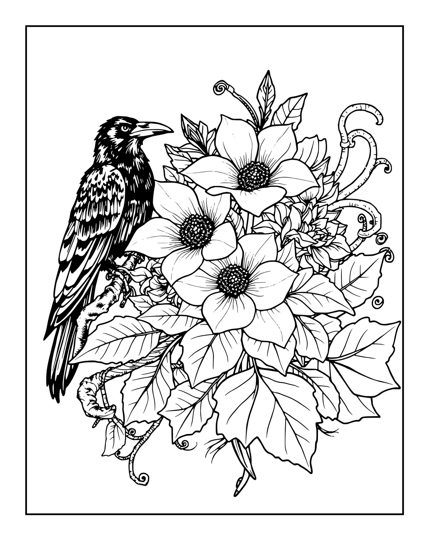Goth Garden: A Dark Botanical Coloring Book