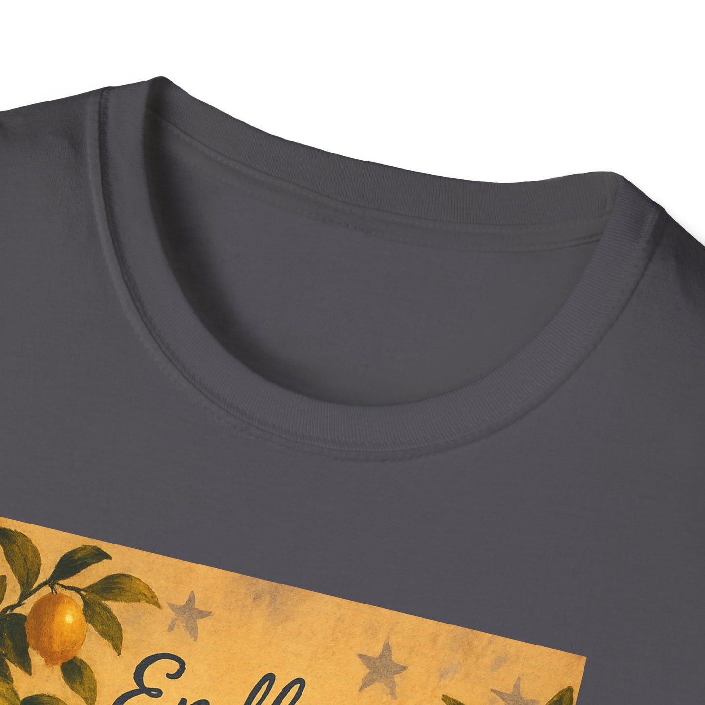 Close-up of Printify black T-shirt featuring Alamo citrus patriotic shirt design with orange fruit and stars