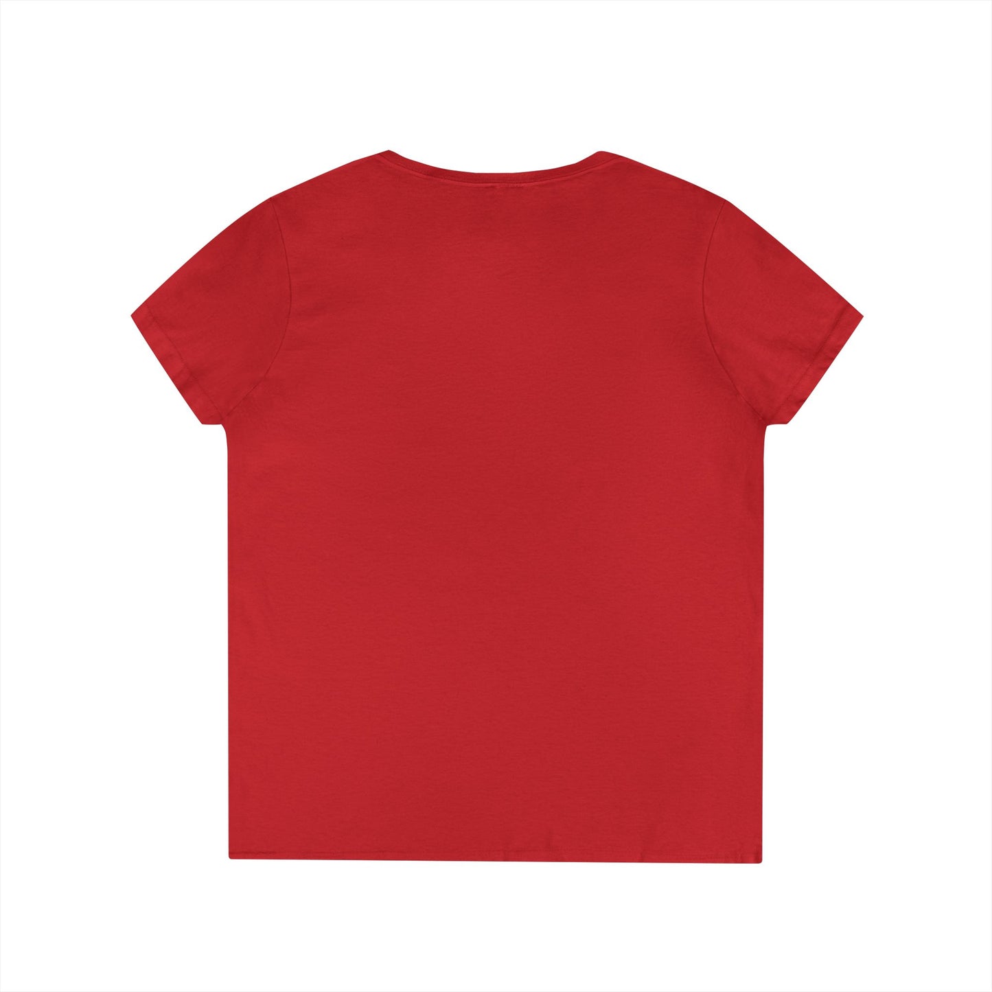 Altoona PA Vintage T-Shirt V-Neck Tee