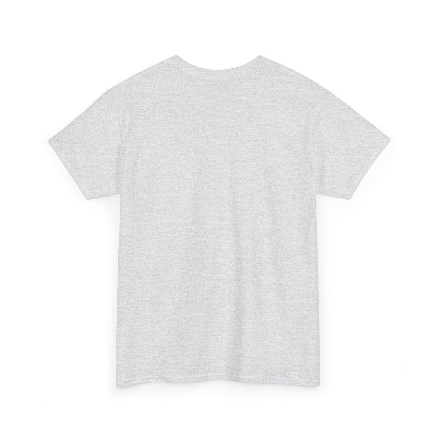 Plain white T-shirt from Printify shown from the back without any designs Altoona PA vintage t-shirt
