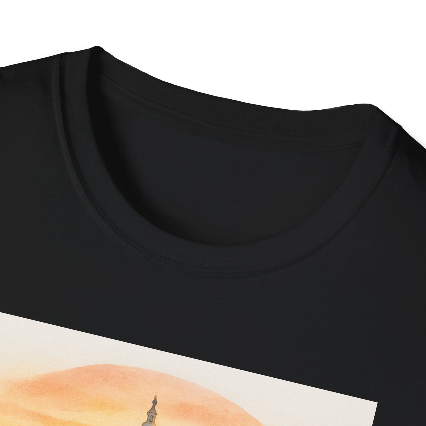 Black Printify t-shirt with National Mall picnic t-shirt design featuring a scenic sunset and monument