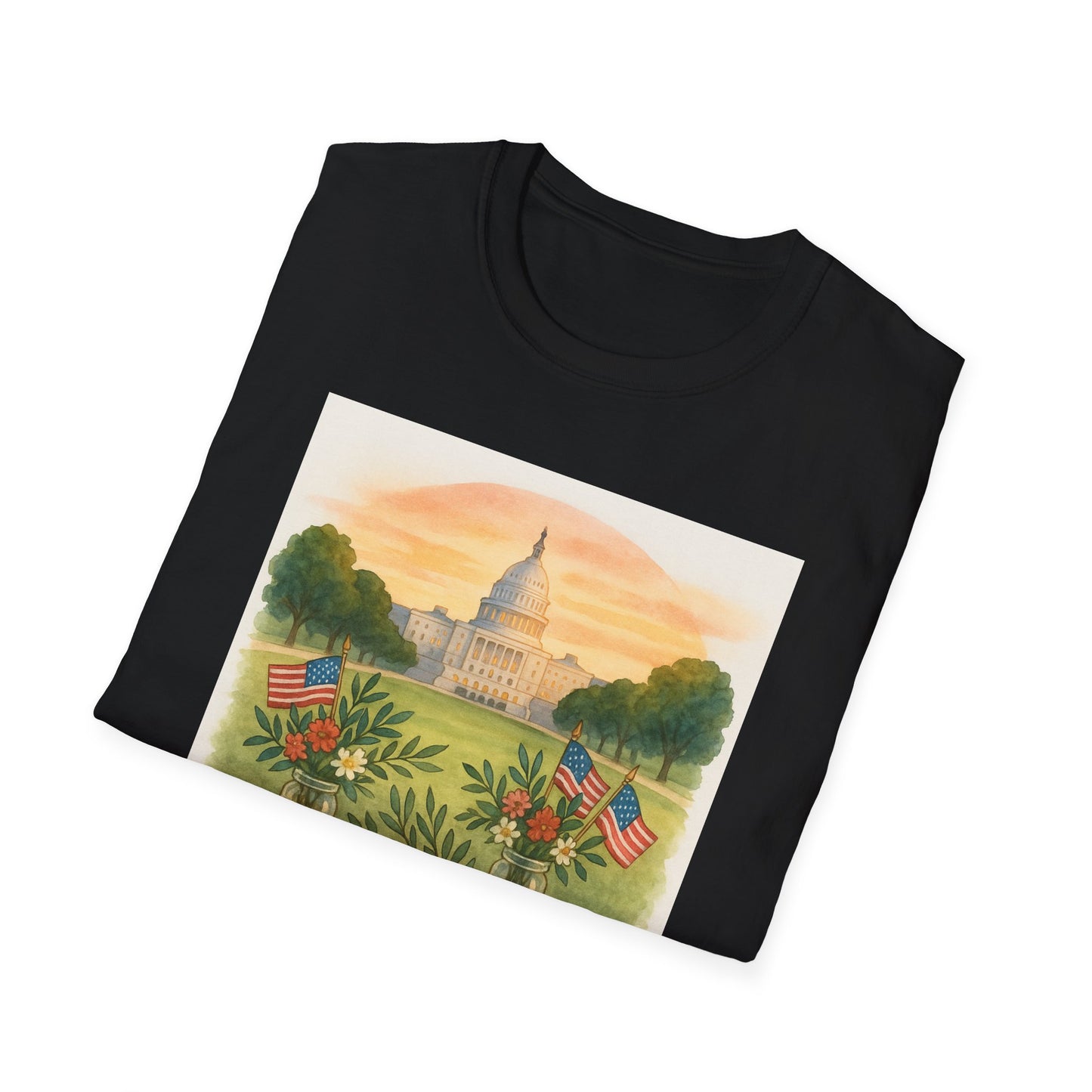 Printify black t-shirt featuring National Mall picnic t-shirt design with Capitol building and American flags
