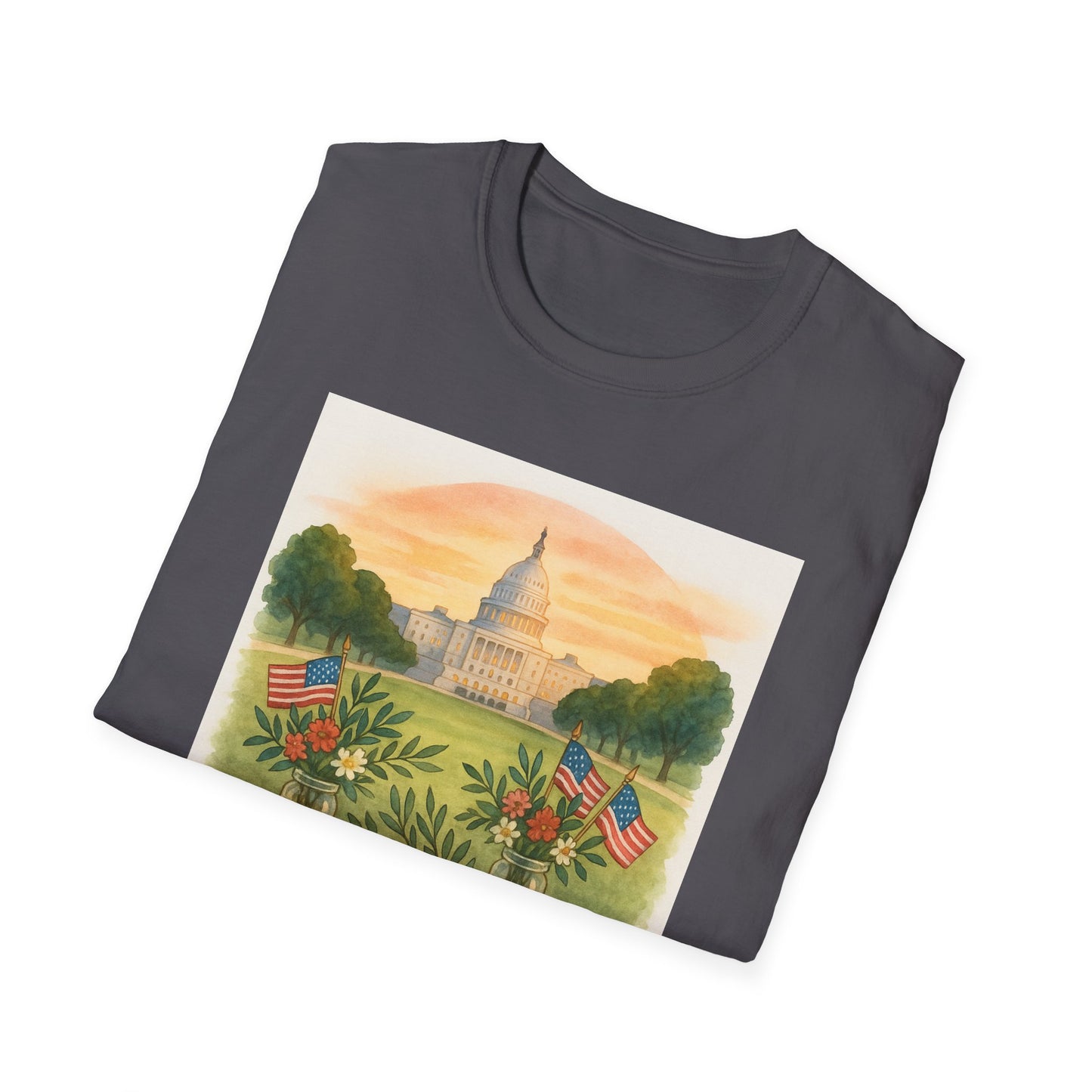 Printify National Mall picnic t-shirt featuring Capitol building and floral design with American flags