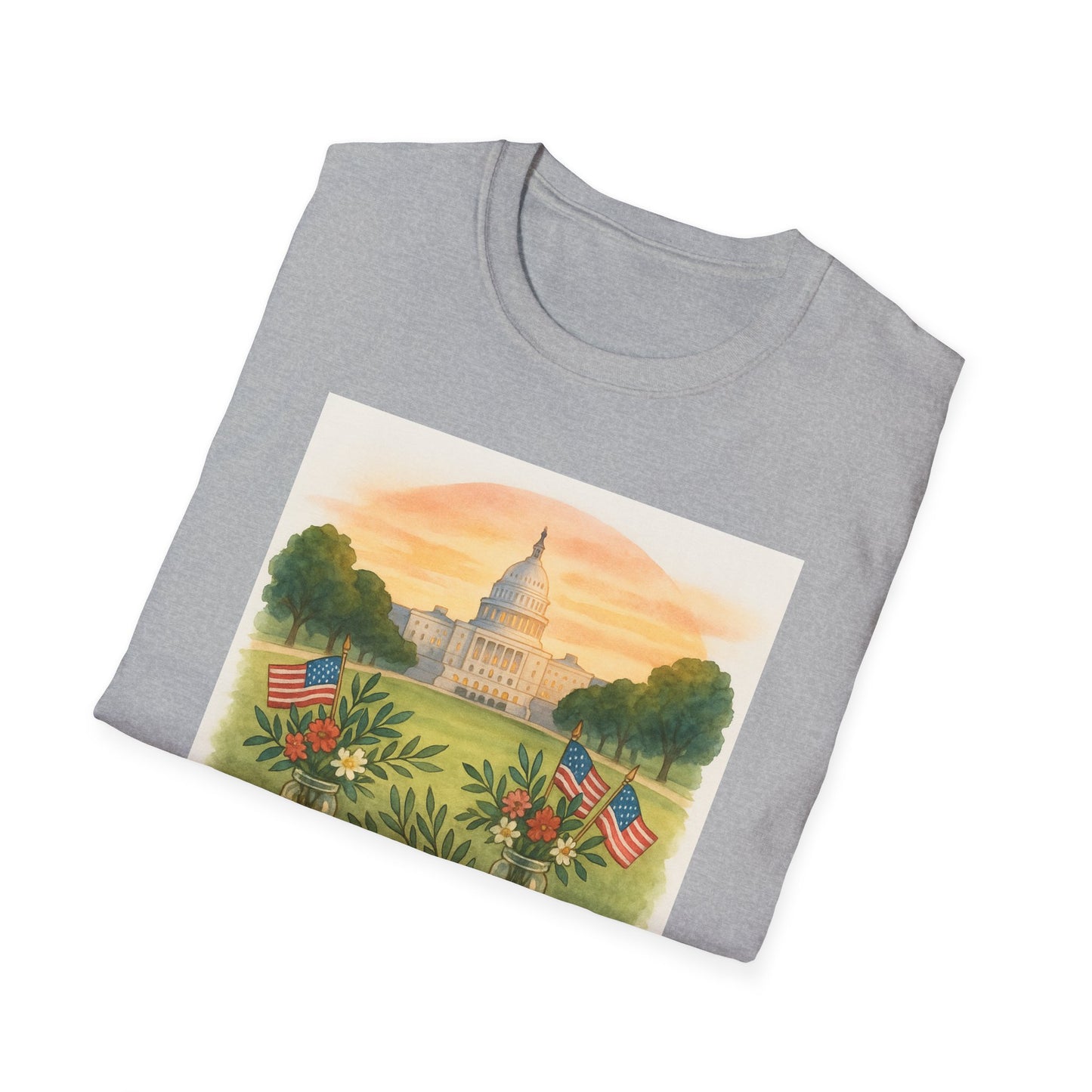 Gray Printify National Mall picnic t-shirt featuring Capitol building and American flags design