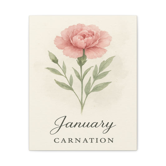 Canvas Wall Art, Pink Carnation Print, January Birth Flower, Birthday Gift, Stretched Matte Decor, 25 Inch