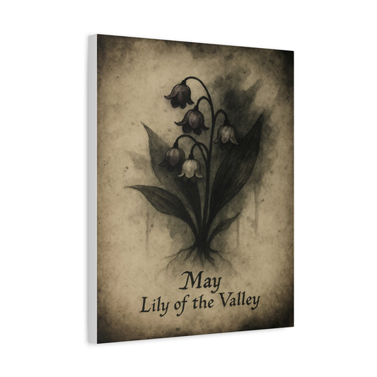 Haunted May Birth Flower, Birthday Gift, Stretched Matte Decor, 25 Inch