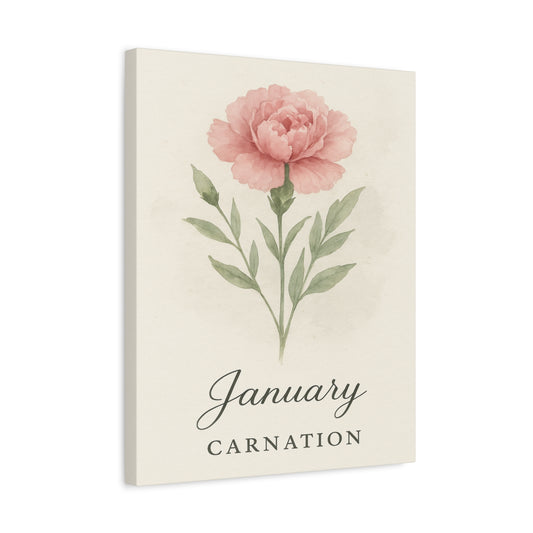 Canvas Wall Art, Pink Carnation Print, January Birth Flower, Birthday Gift, Stretched Matte Decor, 25 Inch