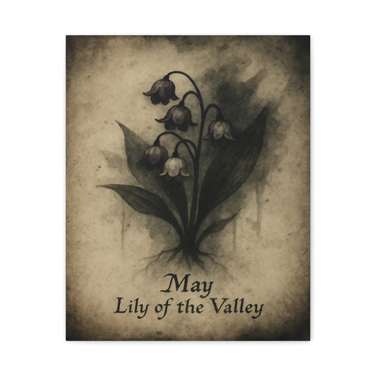 Haunted May Birth Flower, Birthday Gift, Stretched Matte Decor, 25 Inch