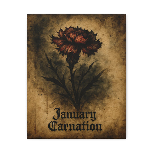 Haunted January, January Birth Flower, Birthday Gift, Stretched Matte Decor, 25 Inch