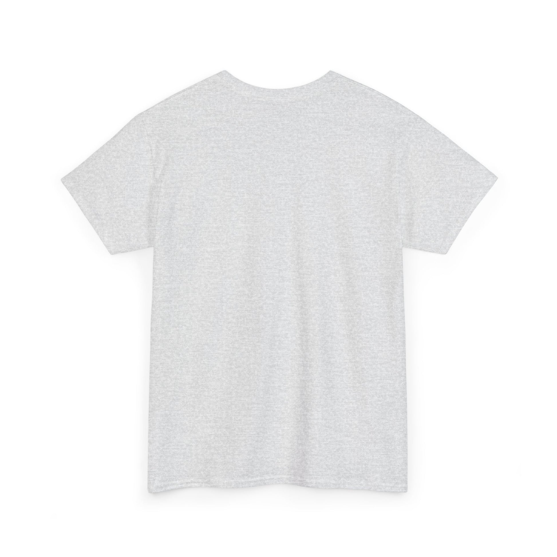 Plain white T-shirt from Printify shown from the back without any designs Altoona PA vintage t-shirt