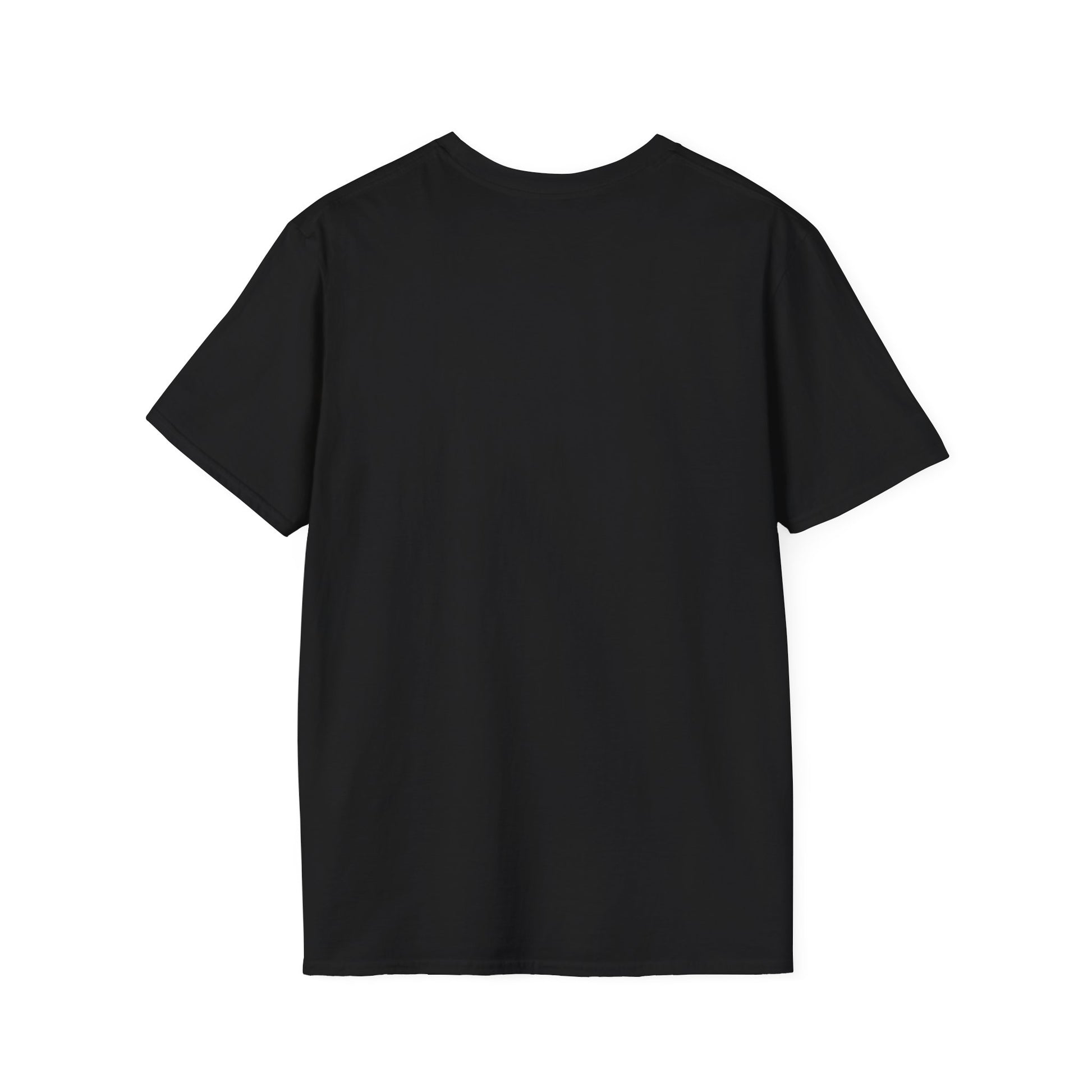 Black plain T-shirt from Printify shown from the back, Doomsday Parade graphic tee