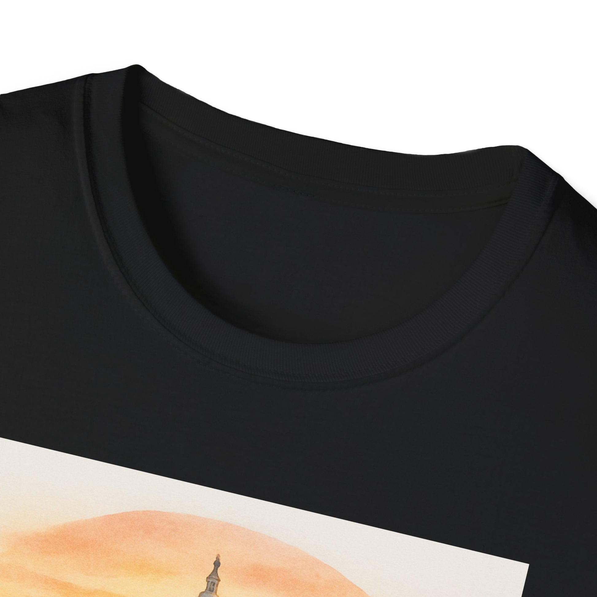 Black Printify t-shirt with National Mall picnic t-shirt design featuring a scenic sunset and monument