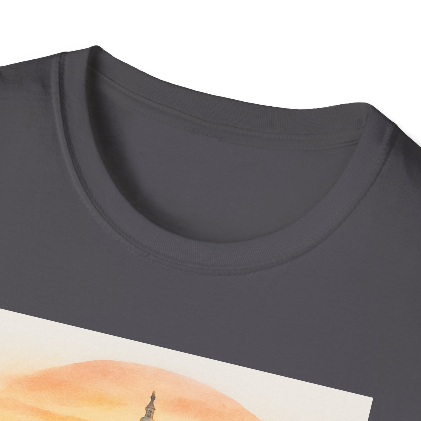 Close-up of charcoal gray National Mall picnic t-shirt collar and fabric texture from Printify