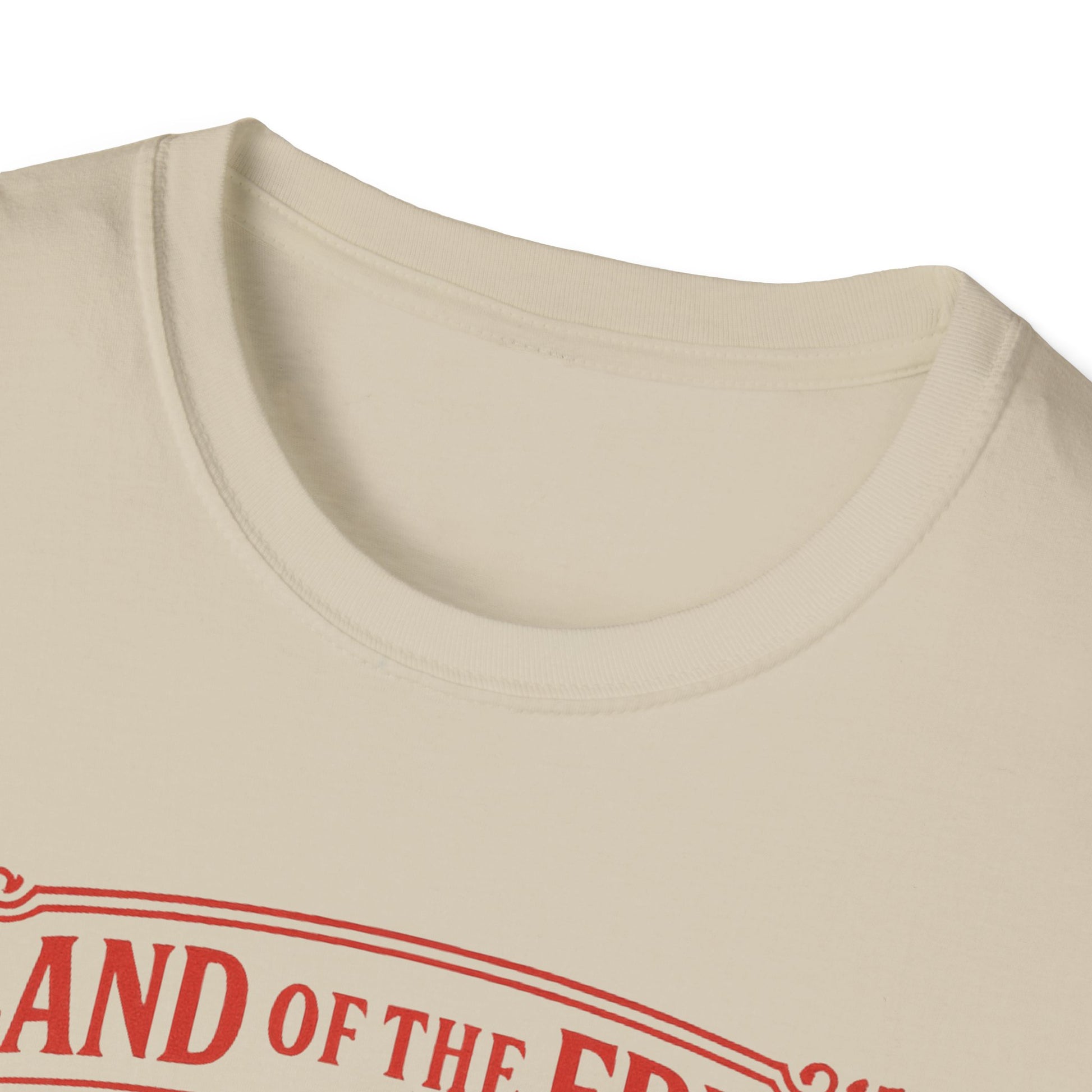 Close-up of beige Printify patriotic eagle t-shirt with red text printed near the collar