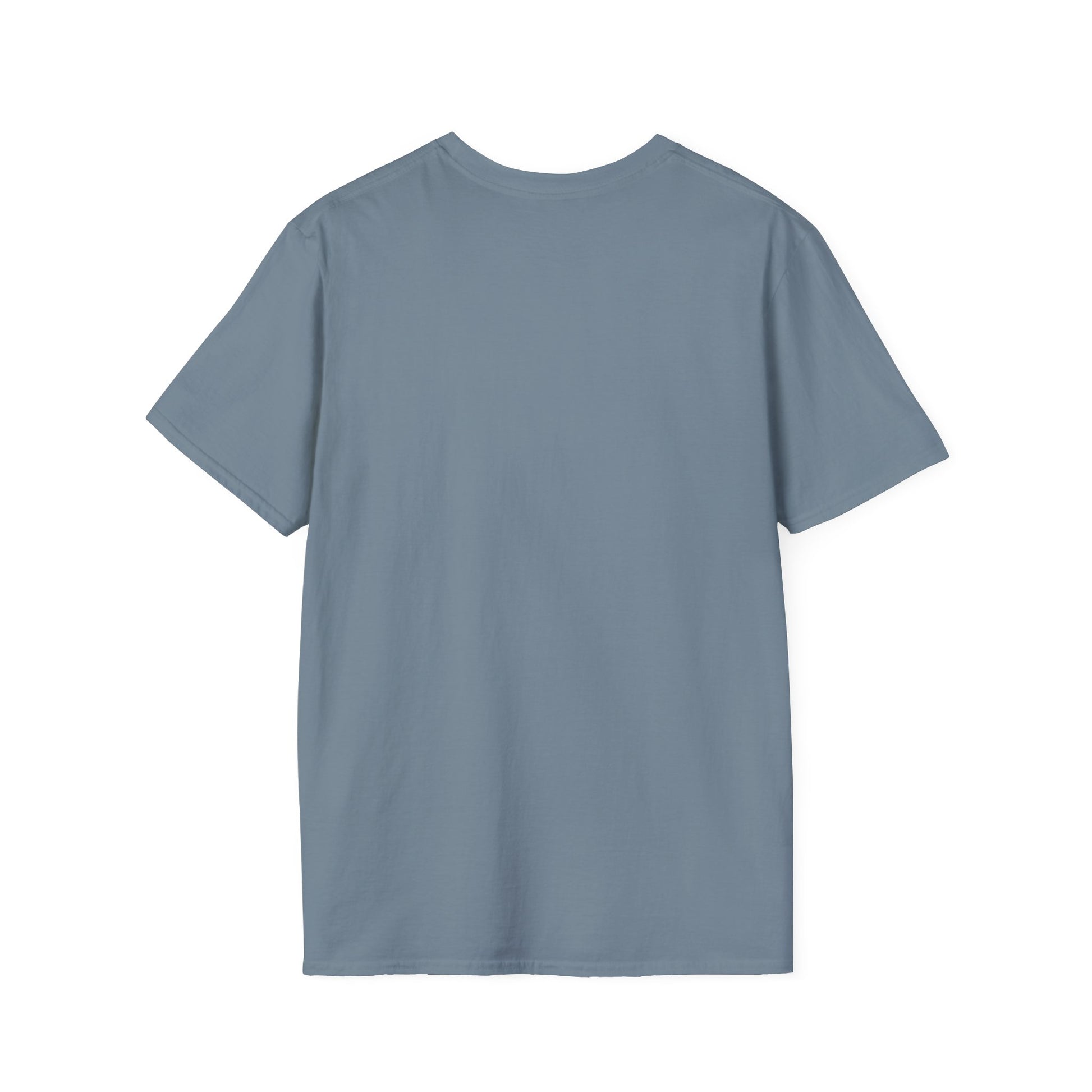 Plain blue Printify t-shirt shown from the back in a vintage 1776 t-shirt style